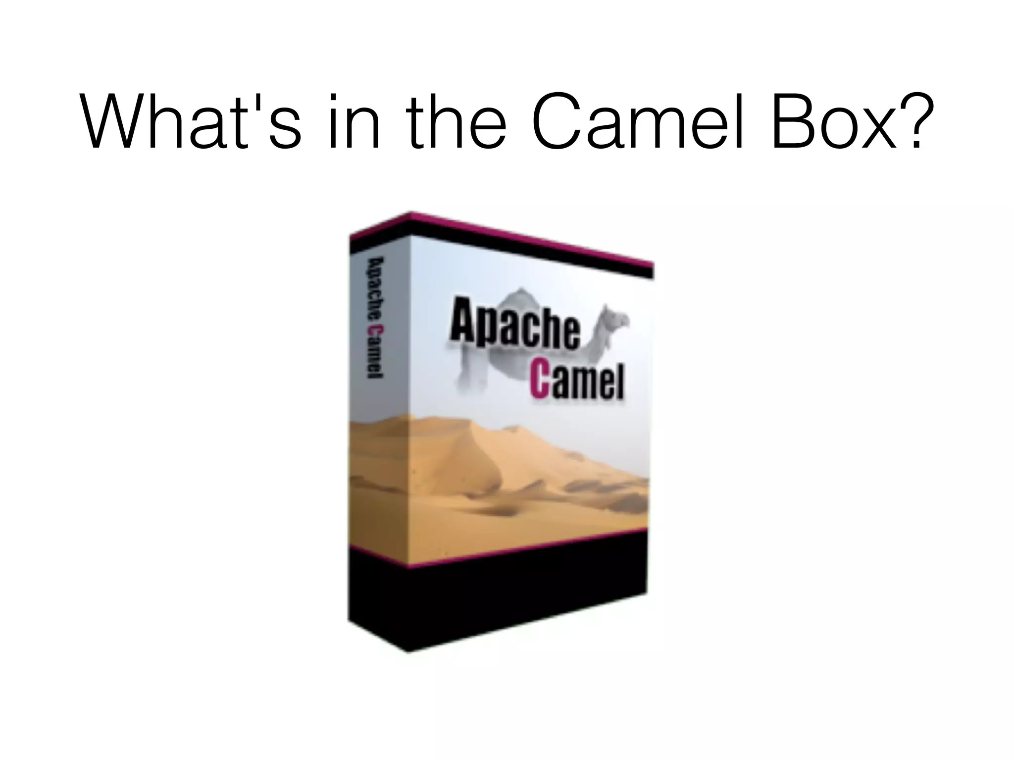 What's in the Camel Box?
 