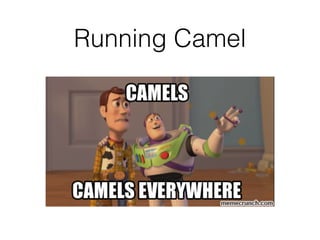 Running Camel
 