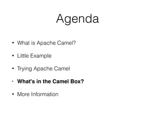 Agenda
• What is Apache Camel?
• Little Example
• Trying Apache Camel
• What's in the Camel Box?
• More Information
 