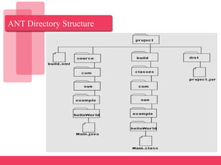 ANT Directory Structure
 
