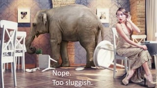 Nope.	
Too	sluggish.
 