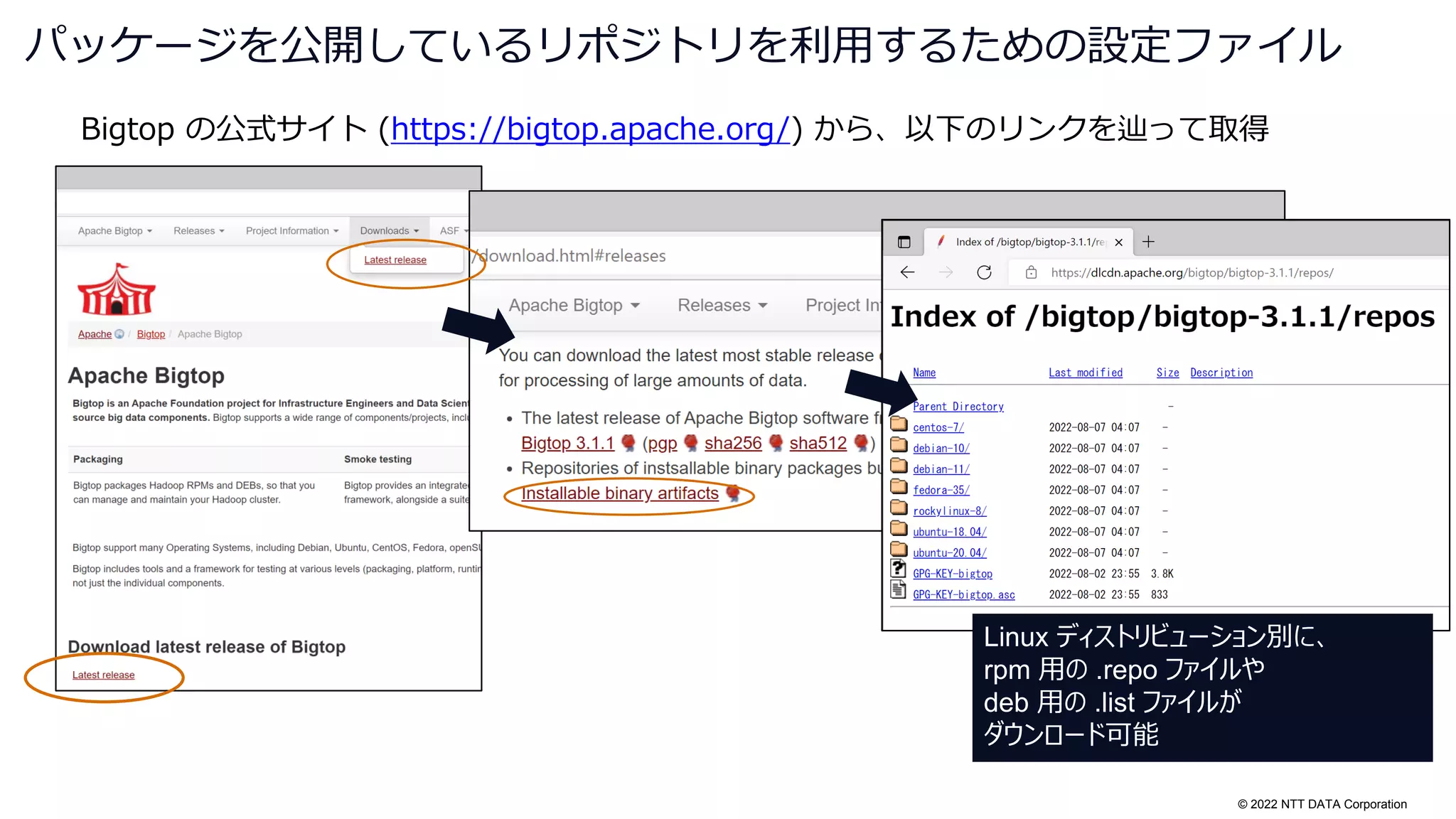 © 2022 NTT DATA Corporation
Bigtop の公式サイト (https://bigtop.apache.org/) から、以下のリンクを辿って取得
パッケージを公開しているリポジトリを利用するための設定ファイル
Linux ディストリビューション別に、
rpm 用の .repo ファイルや
deb 用の .list ファイルが
ダウンロード可能
 