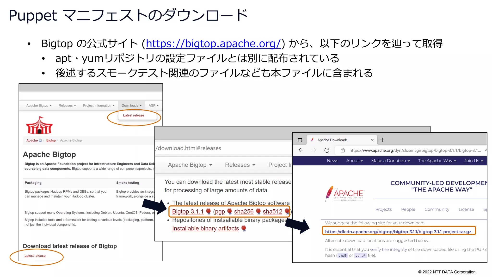 © 2022 NTT DATA Corporation
• Bigtop の公式サイト (https://bigtop.apache.org/) から、以下のリンクを辿って取得
• apt・yumリポジトリの設定ファイルとは別に配布されている
• 後述するスモークテスト関連のファイルなども本ファイルに含まれる
Puppet マニフェストのダウンロード
 
