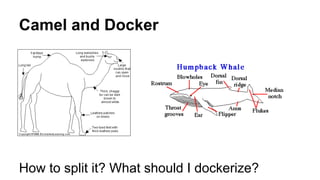 Apache Camel in the belly of the Docker whale | PDF
