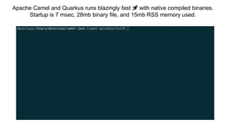 Apache Camel and Quarkus runs blazingly fast 🚀 with native compiled binaries.
Startup is 7 msec, 28mb binary file, and 15mb RSS memory used.
 