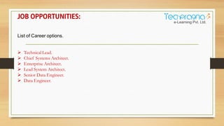List of Career options.
 Technical Lead.
 Chief Systems Architect.
 Enterprise Architect.
 Lead System Architect.
 Senior Data Engineer.
 Data Engineer.
 