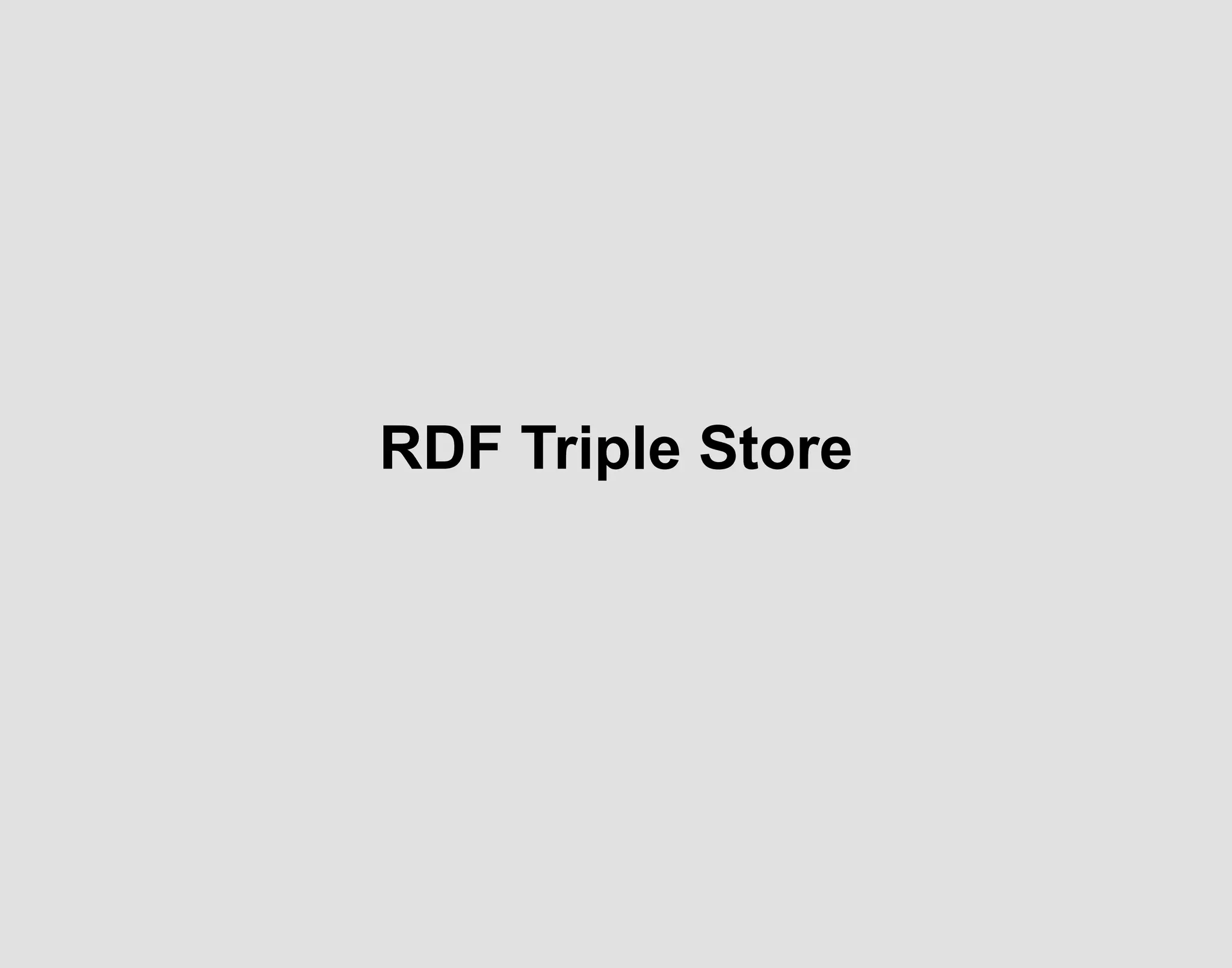 RDF Triple Store
 