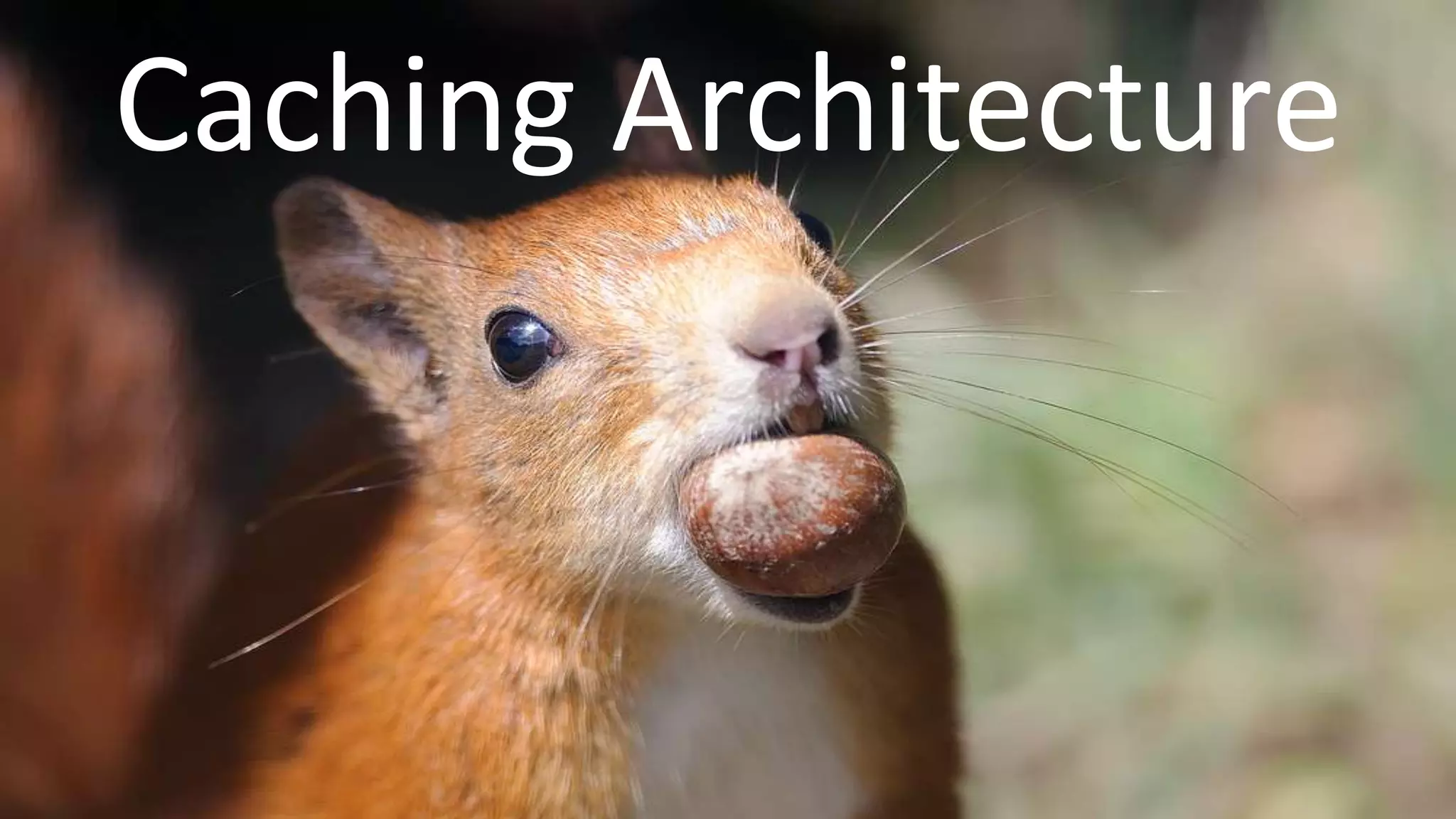 Caching Architecture
 