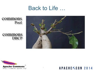 Apache Commons Pool and DBCP - Version 2 Update | PDF