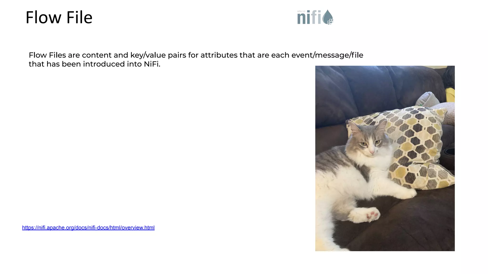 Flow File https://nifi.apache.org/docs/nifi-docs/html/overview.html Flow Files are content and key/value pairs for attributes that are each event/message/ﬁle that has been introduced into NiFi. 