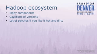 Hadoop ecosystem
• Many components
• Gazillions of versions
• Lot of patches if you like it hot and dirty
 