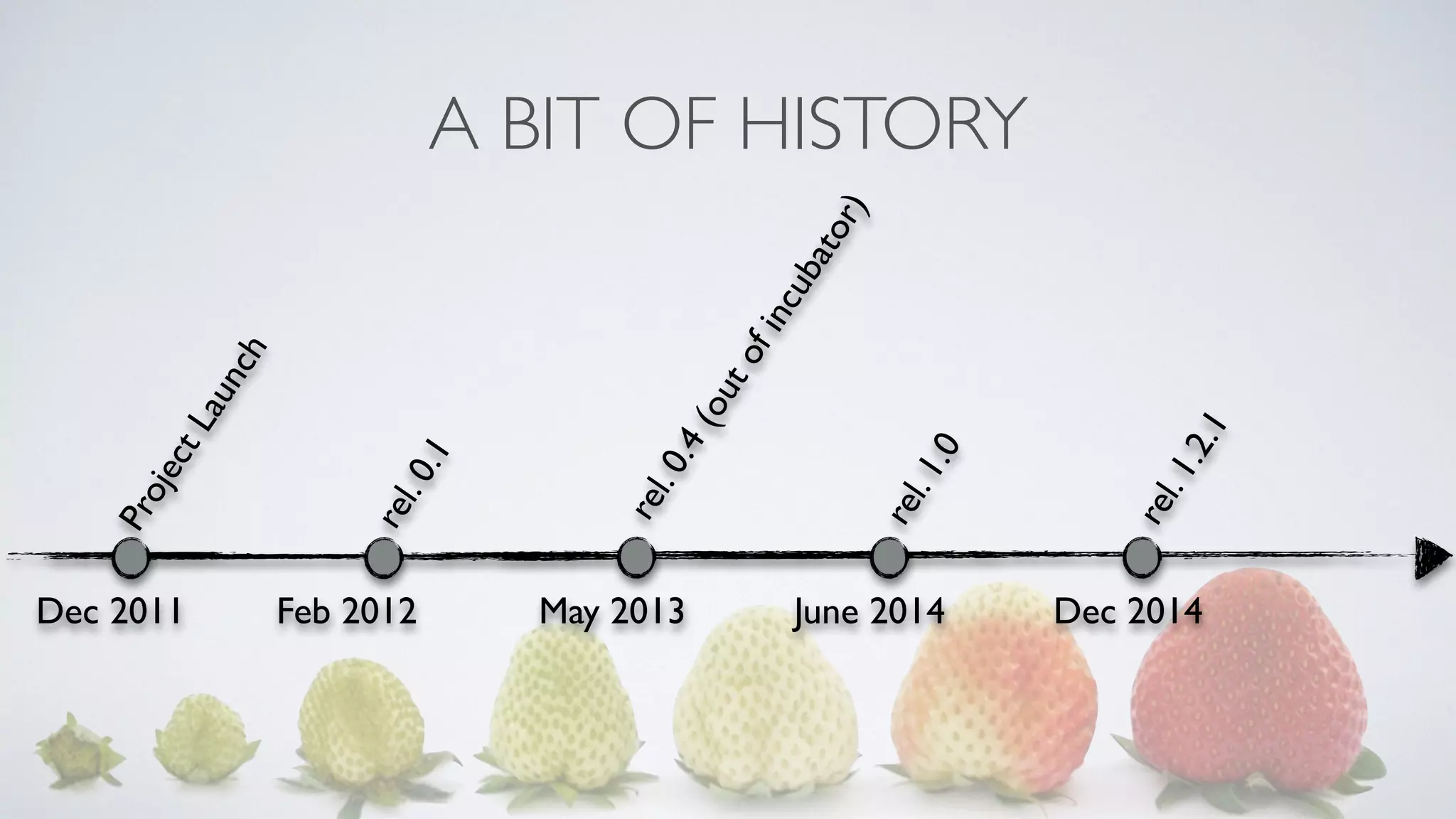 A BIT OF HISTORY
Dec 2011 Feb 2012 May 2013 June 2014
ProjectLaunch
rel.0.1
rel.0.4(outofincubator)
rel.1.0
Dec 2014
rel.1.2.1
 