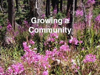 Growing a
Community
 