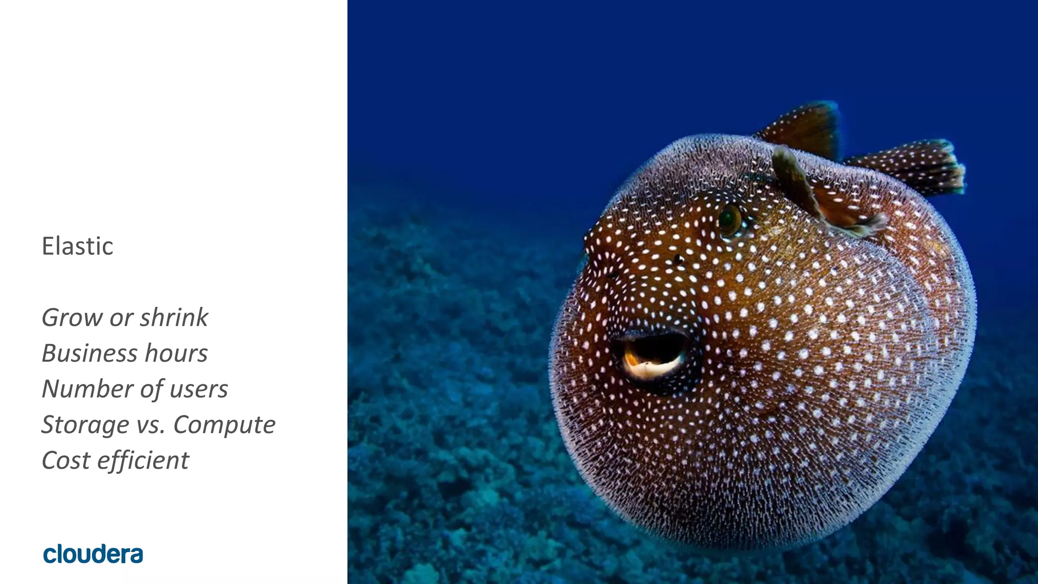 19© Cloudera, Inc. All rights reserved.
Elastic
Grow or shrink
Business hours
Number of users
Storage vs. Compute
Cost efficient
 