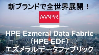 22
新ブランドで全世界展開！
HPE Ezmeral Data Fabric
（HPE EDF）
エズメラルデータファブリック
 