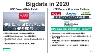 Bigdata in 2020
24
HPE Ezmeral Data Fabric HPE Ezmeral Container Platform
– 圧倒的性能のMapR File System継続提供！
– OSS集「MapR Ecosystem Pack」継続提供！
– MapRプロフェッショナルサービスによるHadoop導入コンサ
ル
– 米国HPEも認める日本での豊富な導入実績！
– 旧BlueData EPICとOSS版Kubernetesを搭載！
– 三大HadoopディストリビューションやOSS-DBをコンテナで
カンタン配備！
– AI環境準備・AIワークフロー管理を徹底的に簡素化する
「ML Ops」
– 複数部門同時利用：マルチテナント対応で共通基盤化！
 