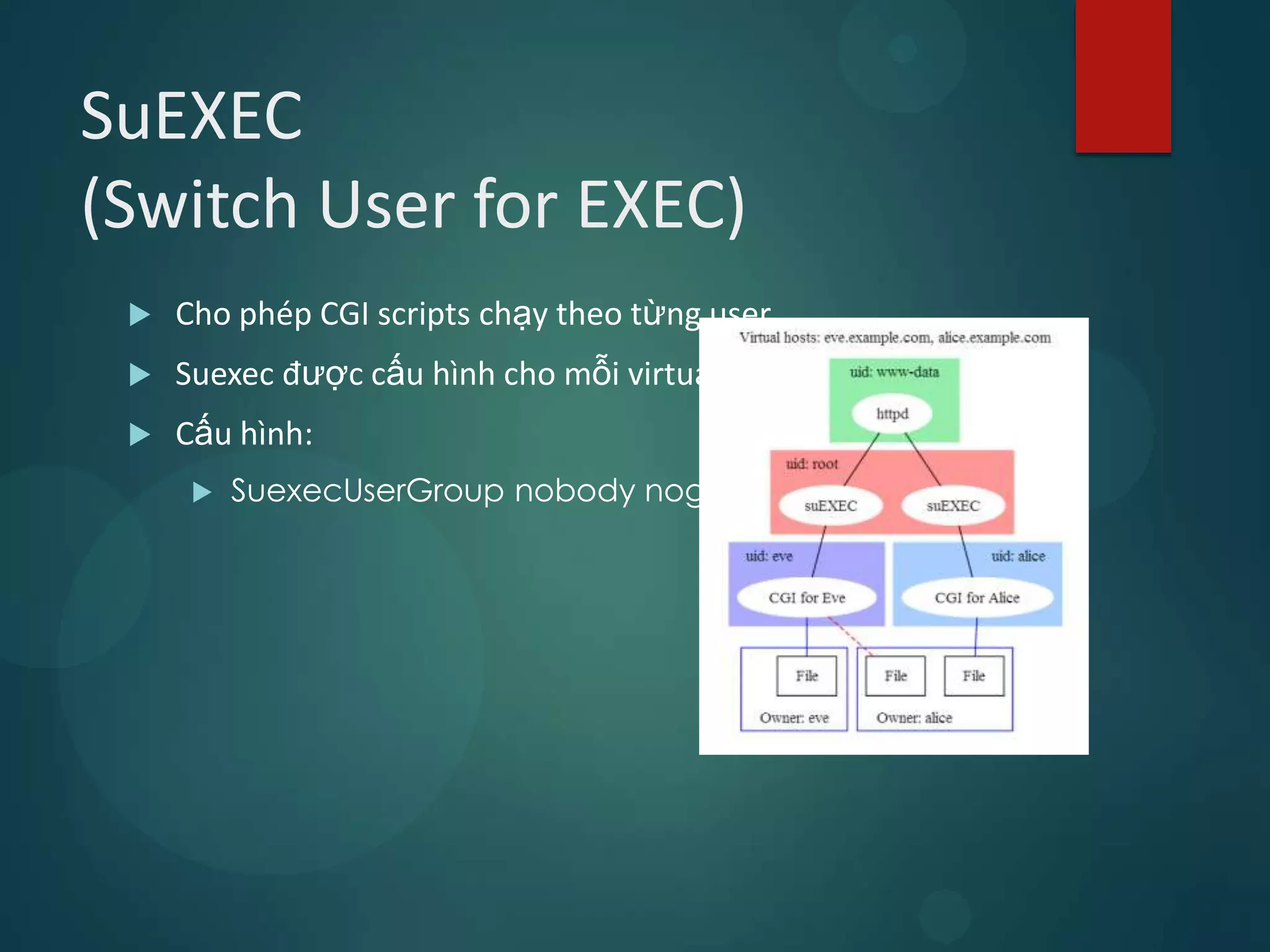 SuEXEC
(Switch User for EXEC)
    Cho phép CGI scripts chạy theo từng user
    Suexec được cấu hình cho mỗi virtual host
    Cấu hình:
         SuexecUserGroup nobody nogroup
 