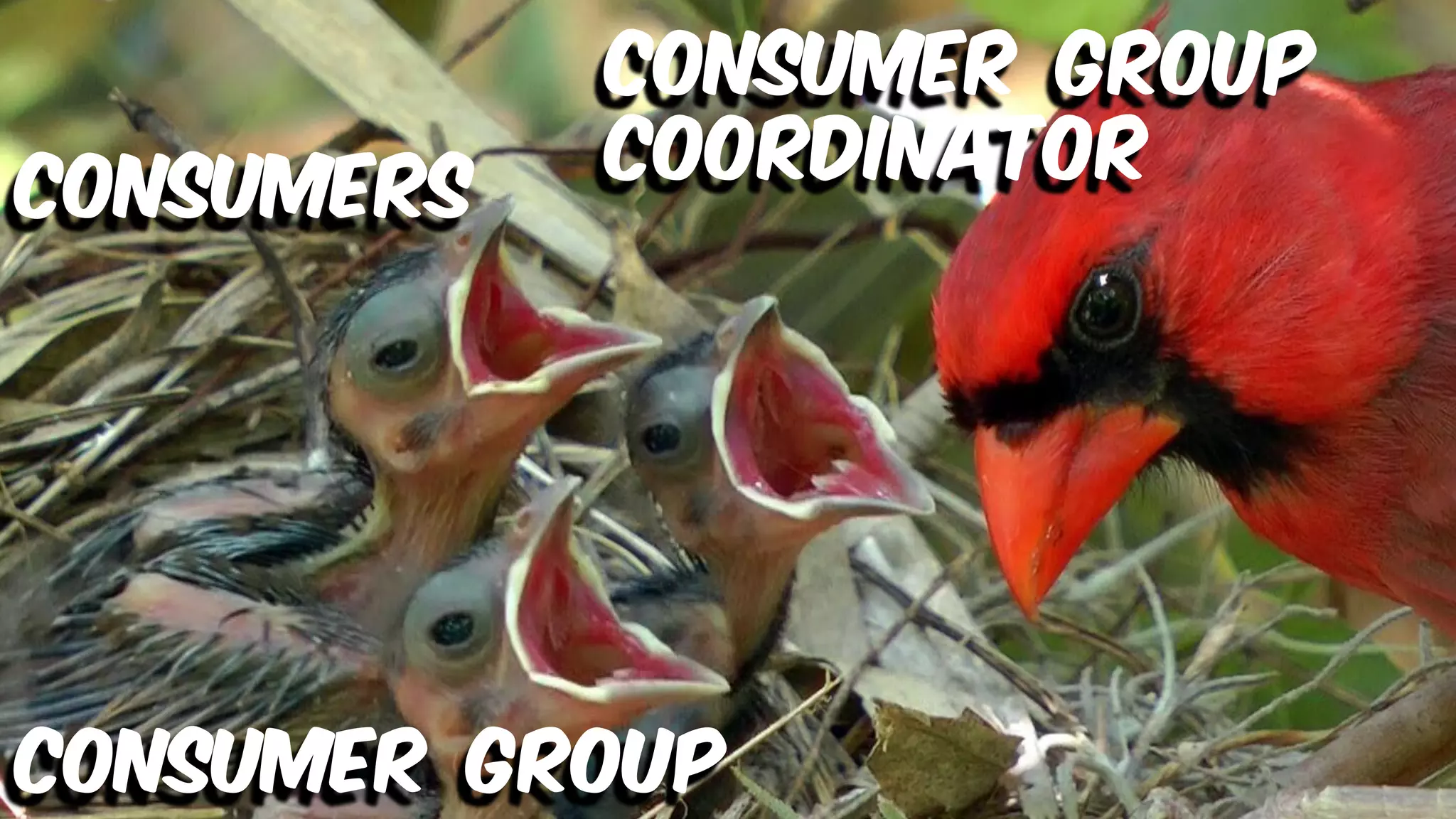 CONSUMER GROUP COORDINATOR CONSUMERS CONSUMER GROUP 