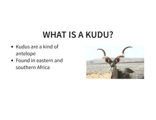 Apache kudu | PDF