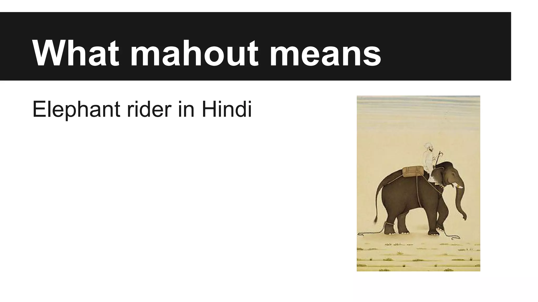 What mahout means
Elephant rider in Hindi
 