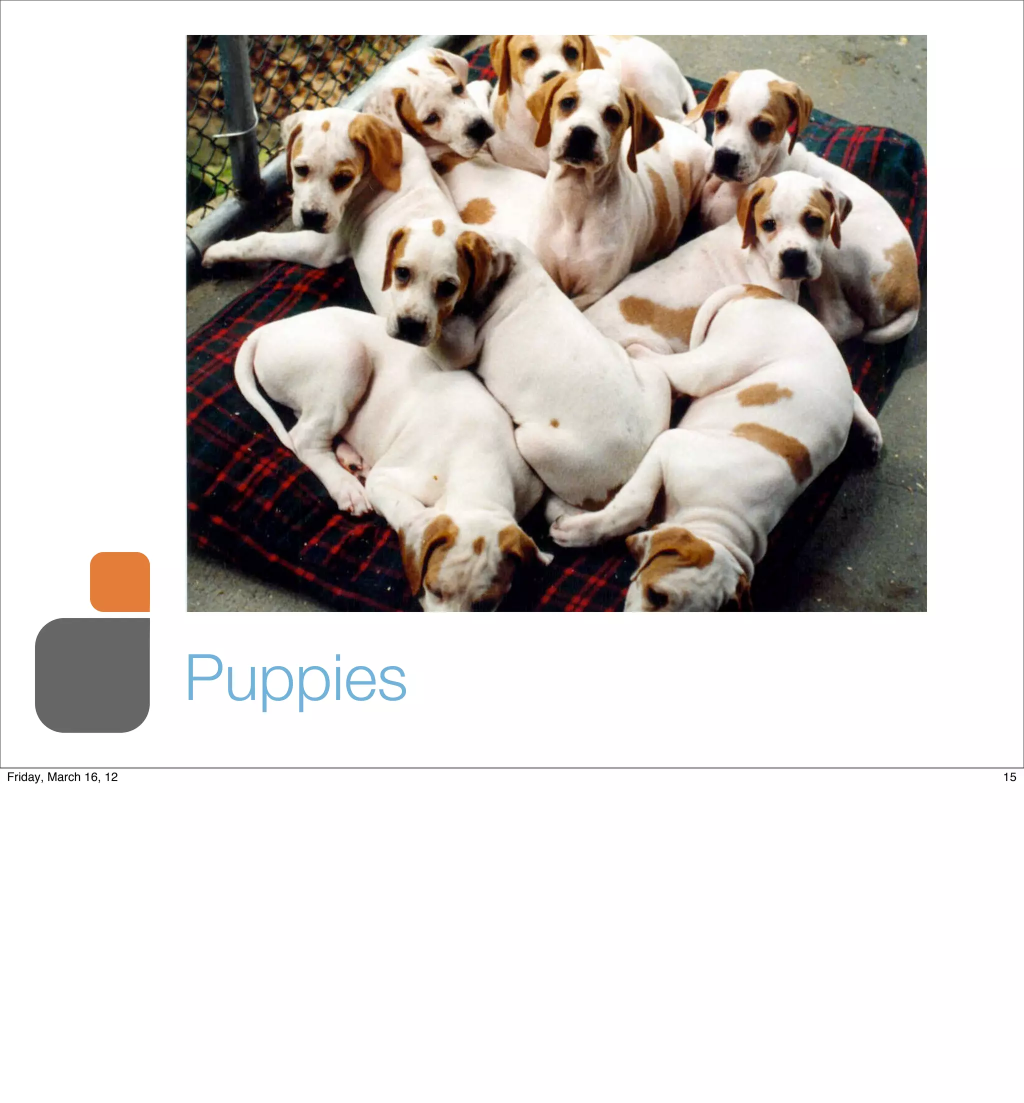 Puppies
Friday, March 16, 12             15
 