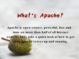 What's Apache? Apache is open source, powerful, free and runs on more than half of all Internet servers. Let's take a quick look at how to get your Apache server up and running. 