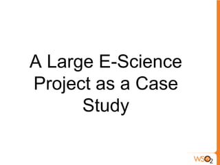 A Large E-Science Project as a CaseStudy<br />