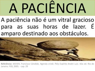 A PACIÊNCIA
A paciência não é um vitral gracioso
para as suas horas de lazer. É
amparo destinado aos obstáculos.
Referência: XAVIER, Francisco Cândido. Agenda cristã. Pelo Espírito André Luiz. 42a ed. Rio de
Janeiro: FEB, 2005. - cap. 29
 
