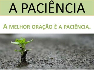 A PACIÊNCIA
A MELHOR ORAÇÃO É A PACIÊNCIA.
 