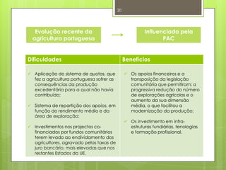 Evolução recente da
agricultura portuguesa
Influenciada pela
PAC
Dificuldades Benefícios
 Aplicação do sistema de quotas, que
fez a agricultura portuguesa sofrer as
consequências da produção
excedentária para a qual não havia
contribuído;
 Sistema de repartição dos apoios, em
função do rendimento médio e da
área de exploração;
 Investimentos nos projectos co-
financiados por fundos comunitários
terem levado ao endividamento dos
agricultores, agravado pelas taxas de
juro bancário, mais elevadas que nos
restantes Estados da UE.
 Os apoios financeiros e a
transposição da legislação
comunitária que permitiram: a
progressiva redução do número
de explorações agrícolas e o
aumento da sua dimensão
média, o que facilitou a
modernização da produção;
 Os investimento em infra-
estruturas fundiárias, tenologias
e formação profissional.
20
 