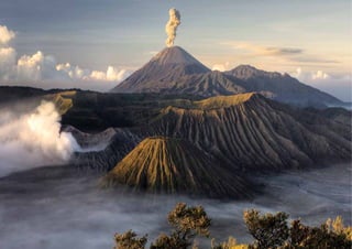 kellyservices.co.id44
 