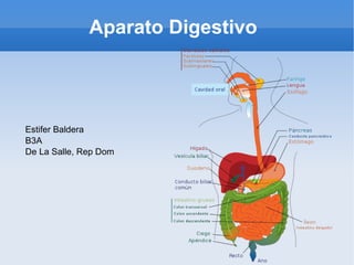 Aparato Digestivo Estifer Baldera B3A De La Salle, Rep Dom 