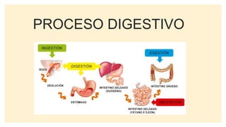 PROCESO DIGESTIVO
 