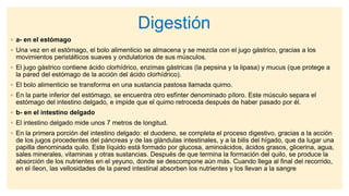 Digestión
◦ a- en el estómago
◦ Una vez en el estómago, el bolo alimenticio se almacena y se mezcla con el jugo gástrico, gracias a los
movimientos peristálticos suaves y ondulatorios de sus músculos.
◦ El jugo gástrico contiene ácido clorhídrico, enzimas gástricas (la pepsina y la lipasa) y mucus (que protege a
la pared del estómago de la acción del ácido clorhídrico).
◦ El bolo alimenticio se transforma en una sustancia pastosa llamada quimo.
◦ En la parte inferior del estómago, se encuentra otro esfínter denominado píloro. Este músculo separa el
estómago del intestino delgado, e impide que el quimo retroceda después de haber pasado por él.
◦ b- en el intestino delgado
◦ El intestino delgado mide unos 7 metros de longitud.
◦ En la primera porción del intestino delgado: el duodeno, se completa el proceso digestivo, gracias a la acción
de los jugos procedentes del páncreas y de las glándulas intestinales, y a la bilis del hígado, que da lugar una
papilla denominada quilo. Este líquido está formado por glucosa, aminoácidos, ácidos grasos, glicerina, agua,
sales minerales, vitaminas y otras sustancias. Después de que termina la formación del quilo, se produce la
absorción de los nutrientes en el yeyuno, donde se descompone aún más. Cuando llega al final del recorrido,
en el íleon, las vellosidades de la pared intestinal absorben los nutrientes y los llevan a la sangre
 