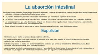 La absorción intestinal
Es el paso de los nutrientes desde el tubo digestivo a la sangre a través de las paredes del intestino delgado. Esta absorción se realiza
molécula a molécula mediante difusión y transporte activo.
 Las paredes del intestino presentan vellosidades intestinales, que aumentan la superficie de absorción.
 Los glúcidos y las proteínas que se absorben van a los vasos sanguíneos, mientras que las grasas van a los vasos linfáticos.
 Los vasos sanguíneos que salen del intestino delgado van directamente al hígado, el cual trata químicamente a las moléculas
absorbidas para su modificación, almacenamiento, etc.
 Desde el íleon, los restos de quimo que no fueron digeridos pasan a la primera parte del intestino grueso.
Expulsión
◦ El intestino grueso realiza un proceso de absorción de nutrientes.
◦ La mayor parte del agua y las sales minerales se absorben en el colon y ahí también se produce la descomposición de los
nutrientes que no fueron absorbidos.
◦ Esta descomposición se realiza con la intervención de las bacterias que forman la flora intestinal del intestino grueso. Estas
bacterias,, fabrican vitaminas K, B12, tiamina y riboflavina.
◦ Al perder agua, la materia no absorbida se concentran y acumulan formando las heces. Se acumulan en el recto y se expulsan a
través del ano, que posee dos esfínteres o anillos musculares que regulan su salida, la defecación.
 