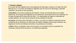 7. Intestino delgado
Es la parte del tubo digestivo que inicia después del estómago y acaba en el ciego del colon.
Mide de 6 a 7 m. Funcion de finalizar la digestión que se inicio en el estomago y absorber
nutrientes. Se divide en tres porciones:
◦ a) Duodeno: Es el primer segmento del intestino. Ocupa una posición fija en la cavidad
abdominal. Se encarga de la digestión de los alimentos y de la absorción de los nutrientes. Es
el lugar principal para la absorción de hierro. Es responsable de regular la velocidad del
vaciado gástrico, así como de la activación de las señales de hambre.
◦ b) Yeyuno: Se sitúa entre el Duodeno y el íleon, su función es realizar la absorción de las
sustancias de los alimentos. En este trozo de intestino delgado actúa el jugo intestinal, que
degrada al mínimo los hidratos de carbono, las proteínas y los lípidos.
◦ c) Íleon: Tiene un diámetro menor que el yeyuno. Su principal función es absorber los
nutrientes (vitamina B12) del quimo, o los alimentos digeridos.
 