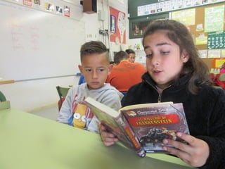 Apadrinamentlector 2015 16