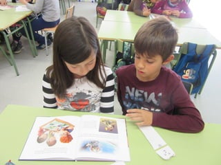 Apadrinamentlector 2015 16