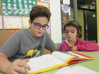 Apadrinamentlector 2015 16