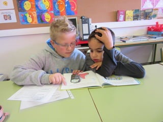 Apadrinamentlector 2015 16