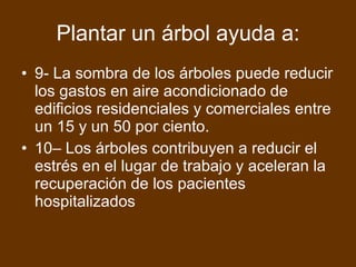Plantar un árbol ayuda a: 9- La sombra de los árboles puede reducir los gastos en aire acondicionado de edificios residenciales y comerciales entre un 15 y un 50 por ciento.  10– Los árboles contribuyen a reducir el estrés en el lugar de trabajo y aceleran la recuperación de los pacientes hospitalizados 
