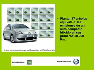 Plantar 17 arboles equivale a  las emisiones de un auto compacto híbrido en sus primeros 50,000 Km. 