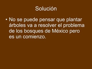 Solución No se puede pensar que plantar árboles va a resolver el problema de los bosques de México pero es un comienzo. 