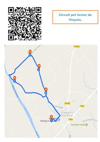 Circuit pel terme de
Vinyols.
 