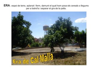 ERA : espai de terra, aplanat i ferm, damunt el qual hom posa els cereals o llegums
per a batre'ls i separar el gra de la palla.
 