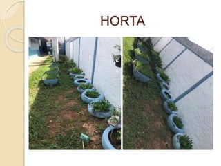 HORTA
 