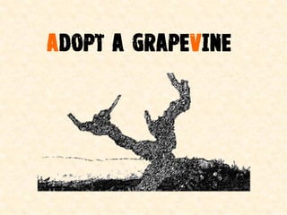 ADOPT a Grapevine
 