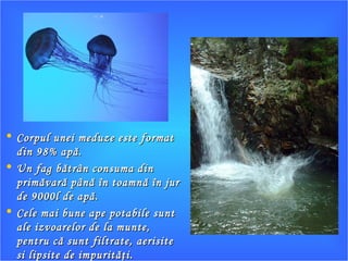 • Corpul unei meduze este formatCorpul unei meduze este format
din 98% apă.din 98% apă.
• Un fag bătrân consuma dinUn fag bătrân consuma din
primăvară până în toamnă în jurprimăvară până în toamnă în jur
de 9000l de apă.de 9000l de apă.
• Cele mai bune ape potabile suntCele mai bune ape potabile sunt
ale izvoarelor de la munte,ale izvoarelor de la munte,
pentru că sunt filtrate, aerisitepentru că sunt filtrate, aerisite
si lipsite de impurităţi.si lipsite de impurităţi.
 