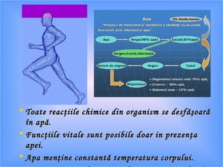 • Toate reacţiile chimice din organism se desfăşoarăToate reacţiile chimice din organism se desfăşoară
în apă.în apă.
• Funcţiile vitale sunt posibile doar in prezenţaFuncţiile vitale sunt posibile doar in prezenţa
apei.apei.
• Apa menţine constantă temperatura corpului.Apa menţine constantă temperatura corpului.
 