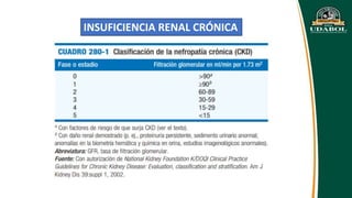 Irc Ruma Apa APA FISIO - IRC.pptx